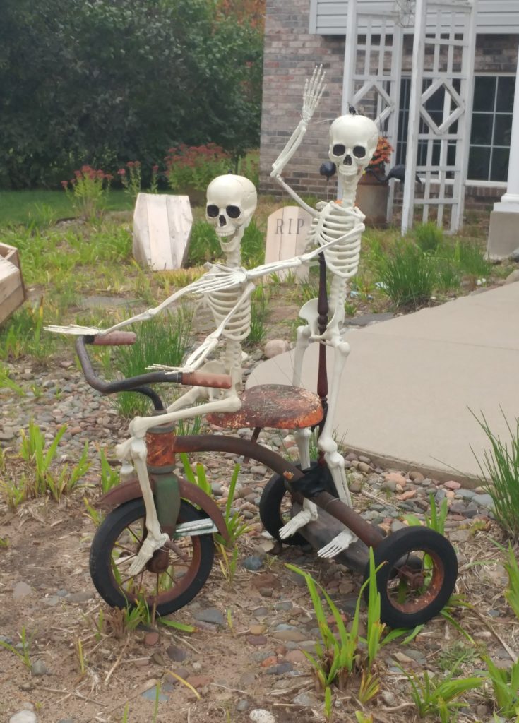 2 skeletons riding a tricycle