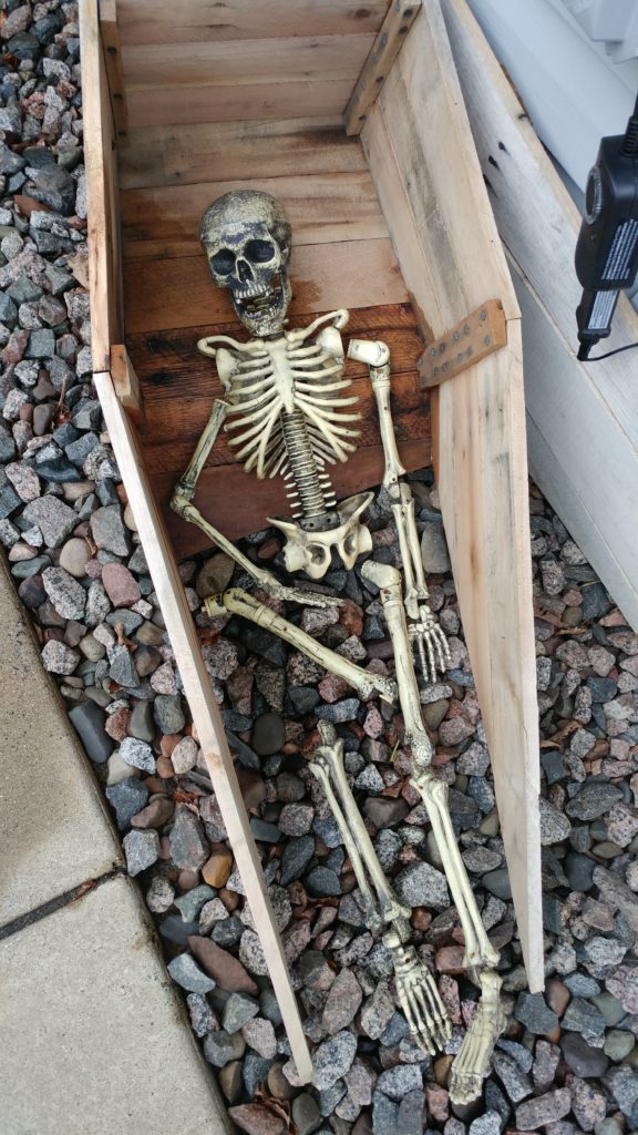 skeleton in a coming up coffin.