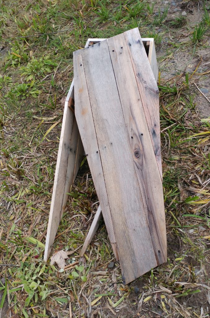 Wood coffin coming out of the ground.