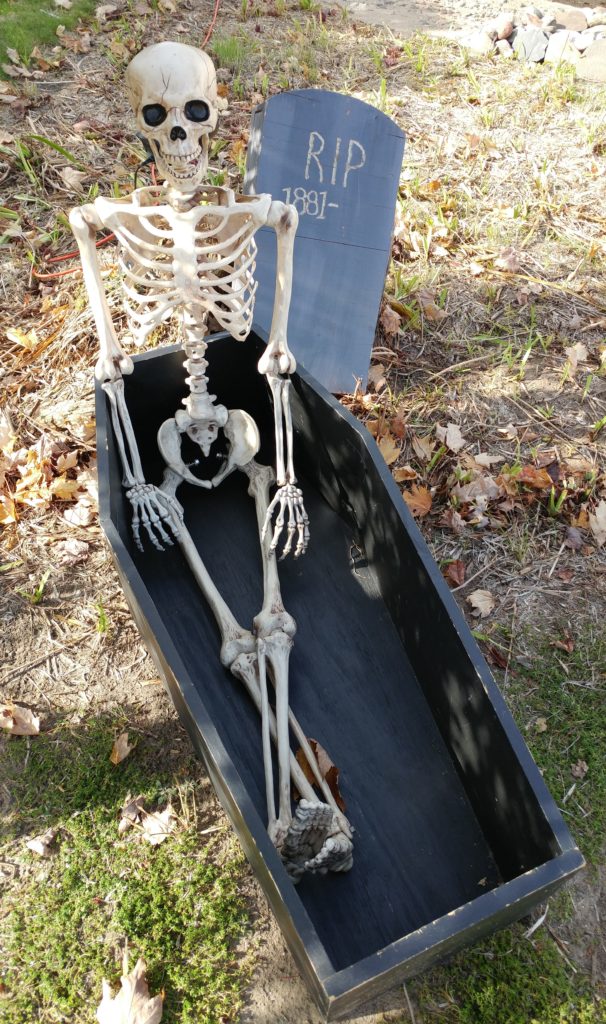 skeleton in a coffin
