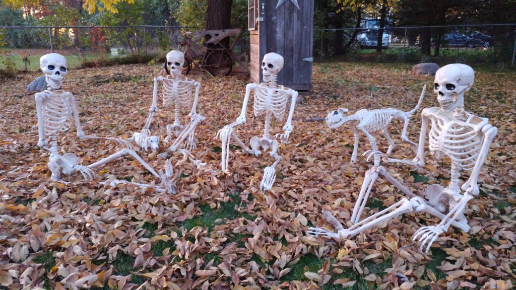 a group of skeleton's socializing.
