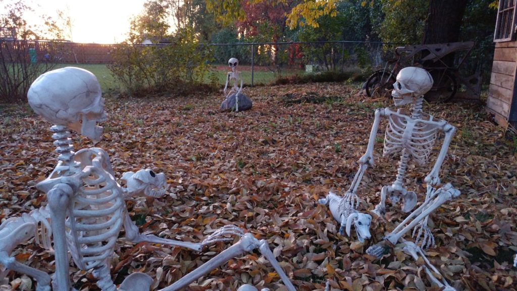 a group of skeletons looking at a alien