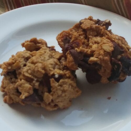 Oatmeal Cranberry Raisin Chocolate Chip Cookie