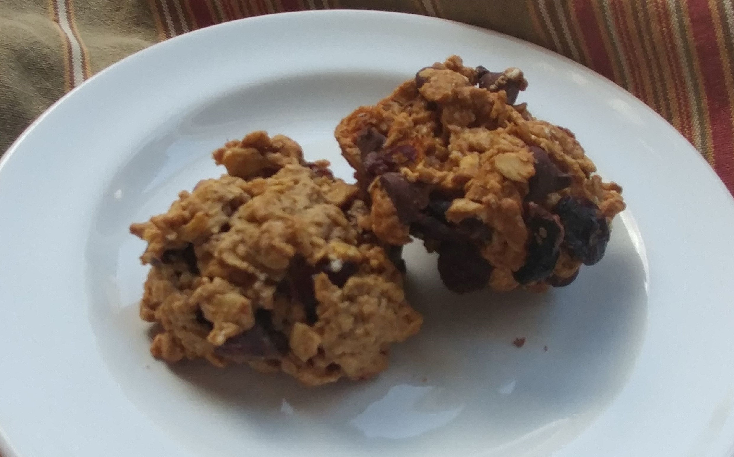 Oatmeal Cranberry Raisin Chocolate Chip Cookies