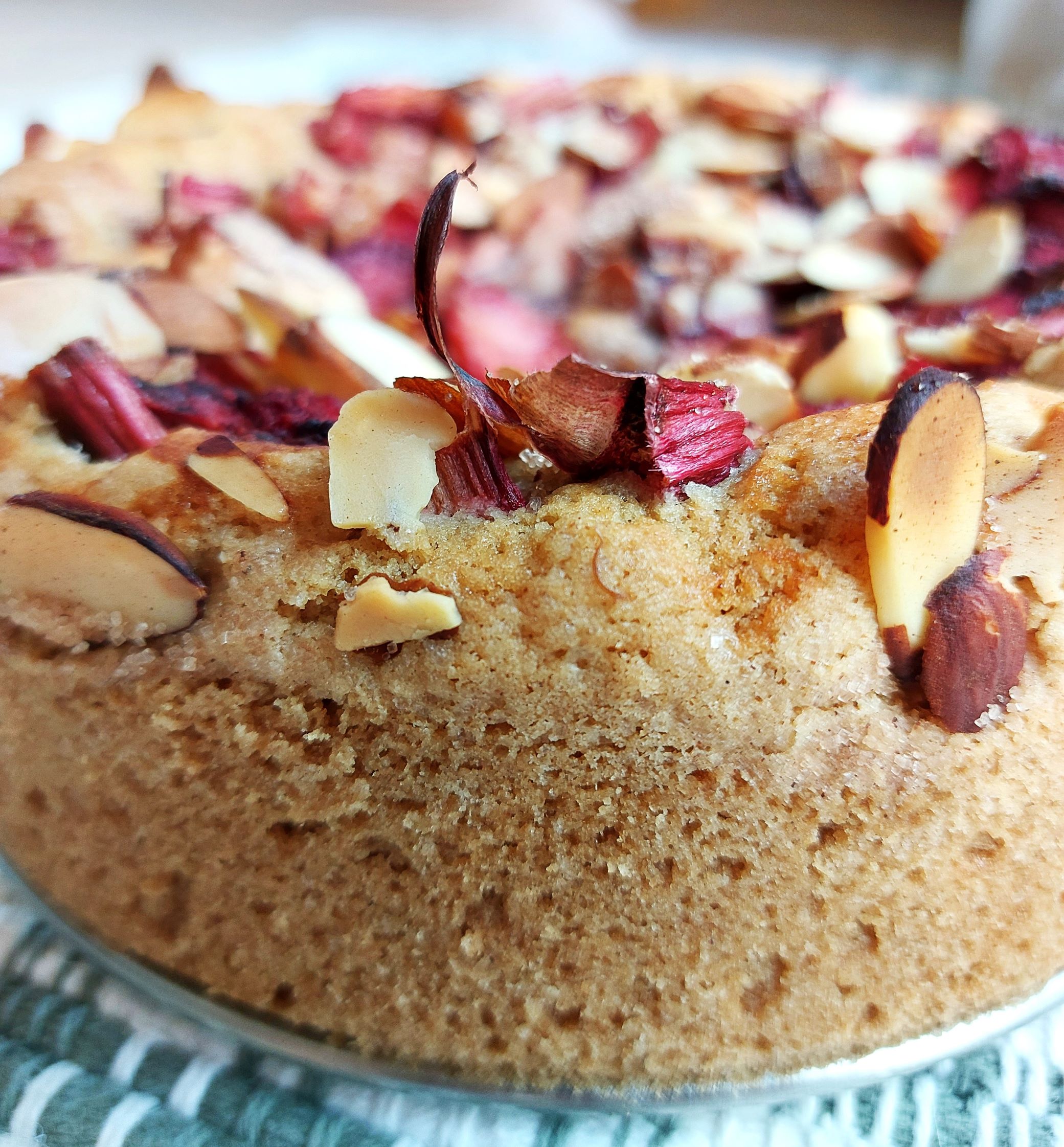 Strawberry Rhubarb Cake