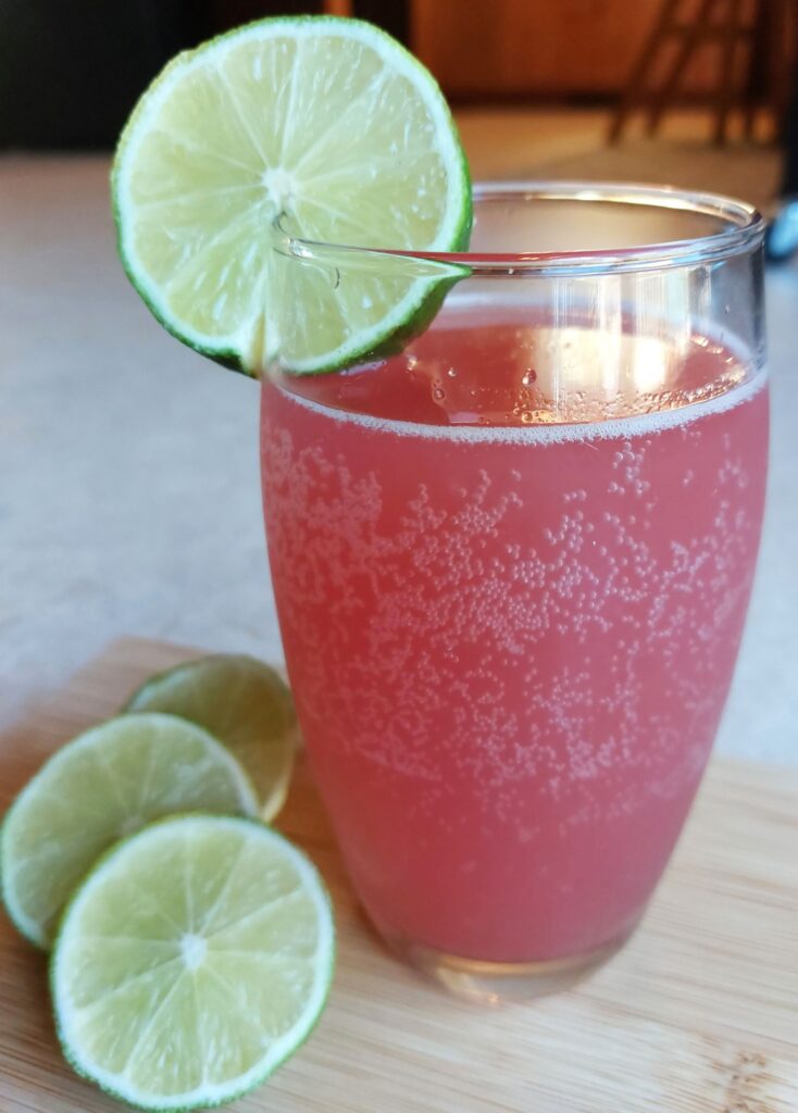 Hibiscus Spritzer